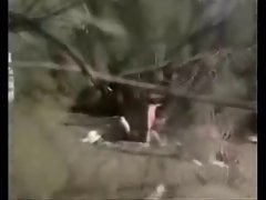 Couple fucking on the dunes
