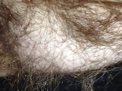 hairy pussy in black pantys.