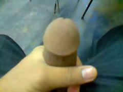 indian cock