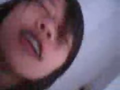 ayvs