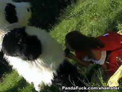 lassie stroking enormous dick in the woods toy bear